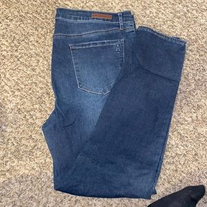 Articles of Society womens Jegging